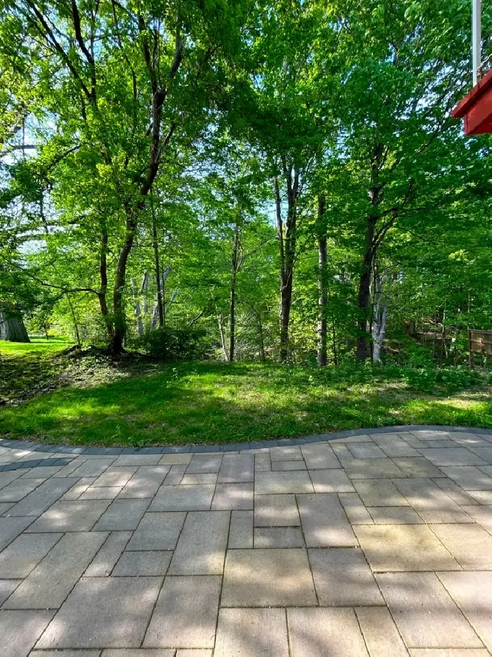 Best deal!$1198 one bedroom unit rent very bright well furnished