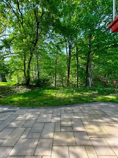 Best deal!$1198 one bedroom unit rent very bright well furnished