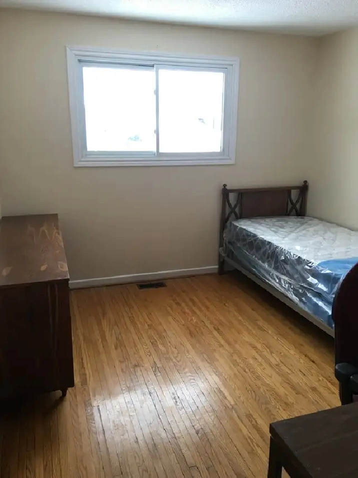Niagara College Student House