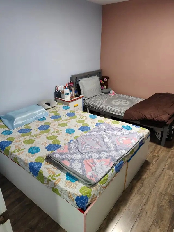 Shared Bedroom in basement for one girl