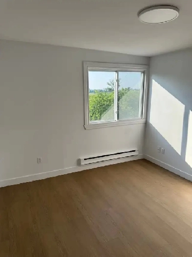 Longueuil superbe 4 1/2  entièrement rénové, libre en Ao