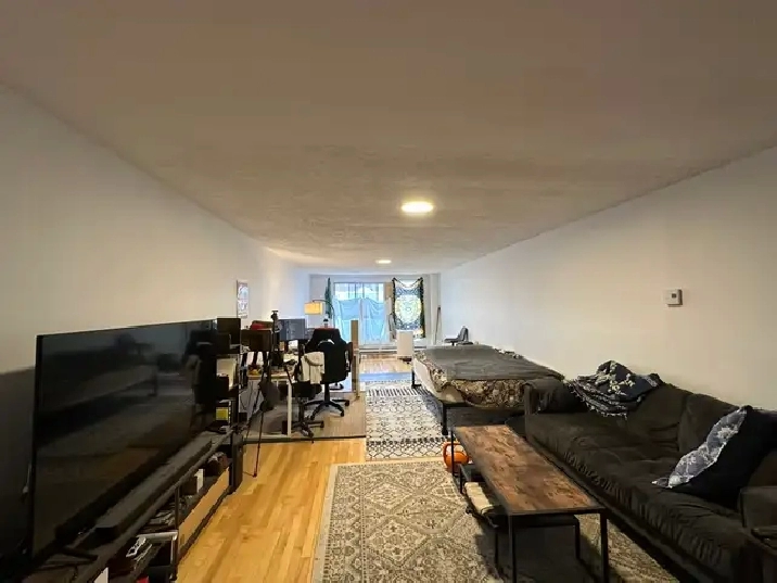 Loft Style New Yorkais