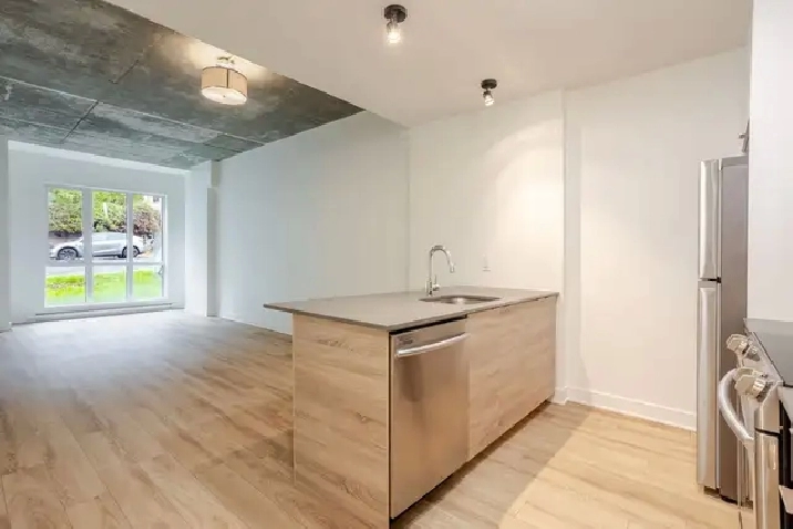 31/2,1,chambres,louer,rent,centre-ville,Montréal,mont-royal
