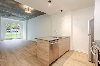31/2,1,chambres,louer,rent,centre-ville,Montréal,mont-royal