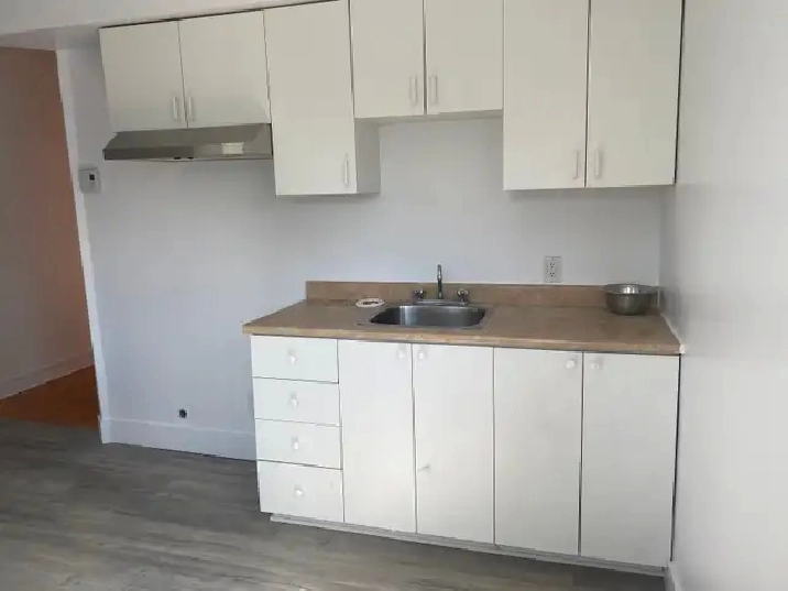3 1/2 a louer petite Italie - 3 1/2 for rent in little Italy