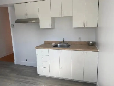 3 1/2 a louer petite Italie - 3 1/2 for rent in little Italy