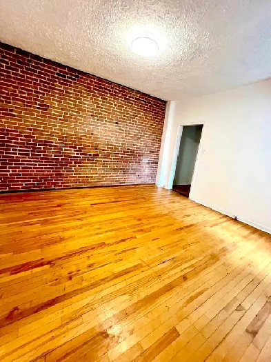 New renovation 6 1/2 Apt for rent in Plateau-Mont-Royal.