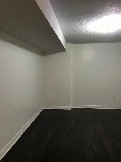 Large and Beautiful One-Bedroom Basement Apt  For Rent
