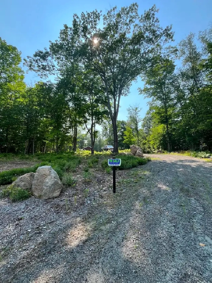 5 acre lot with cabins