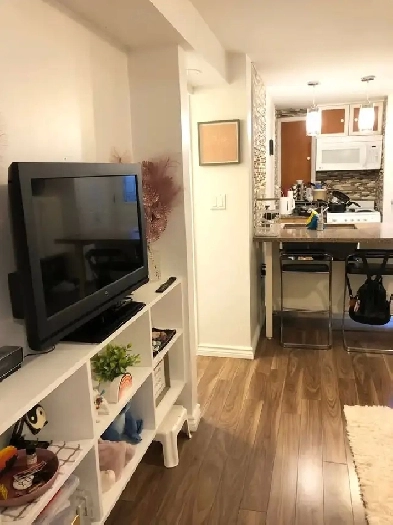 RENTAL- 1 Bed-1 Bath BSMT- Border Etobicoke & Mississauga$1,550