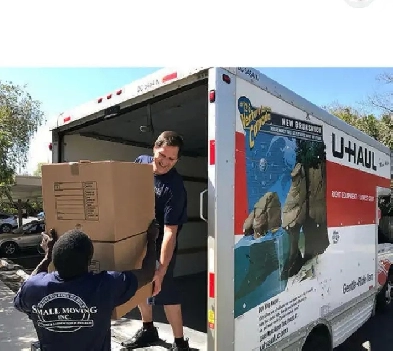 PROFESSIONAL MOVING SERVICES