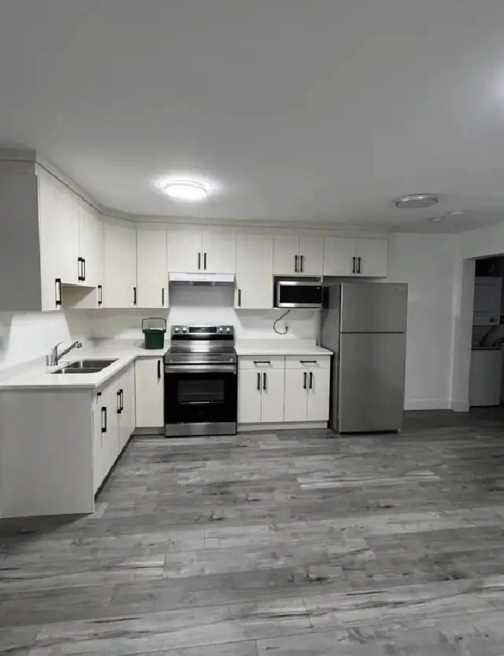 2 Bedroom 1 Bath Basement Suite - Fraser Heights