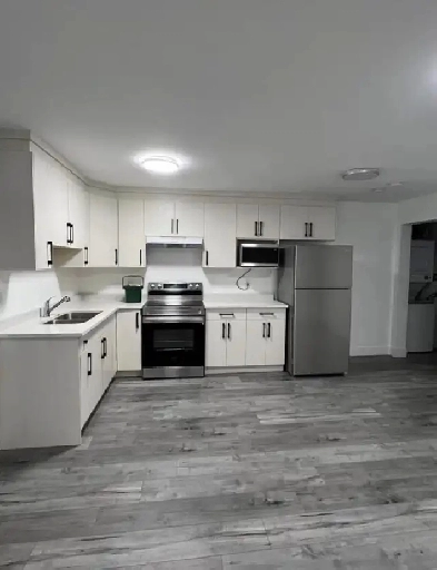 2 Bedroom 1 Bath Basement Suite - Fraser Heights