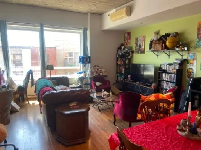 Large loft-style Parc-Ex apartment available for September 1