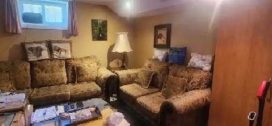 One bedroom basement apartment