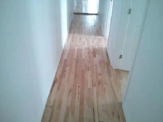 Chambre tout inclus (600$)  Métro Monk – Colocation étudiante
