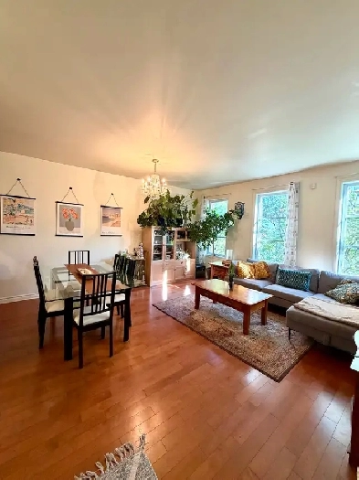 Apartment for rent - Montreal - 2 bed, 1 bath   parking spot