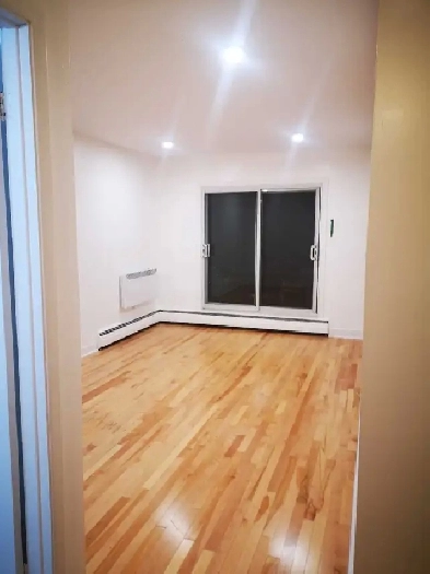 Appartement 3 1/2 à Montréal près du Parc Lafontaine