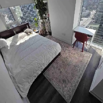 Master Bedroom for Rent Downtown Toronto/private bath