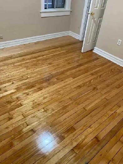 ROOM in shared House available immediately near TTCsubway