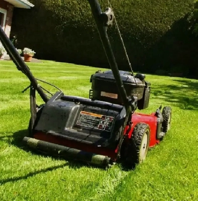 LAWN CARE & GRASS SERVICES