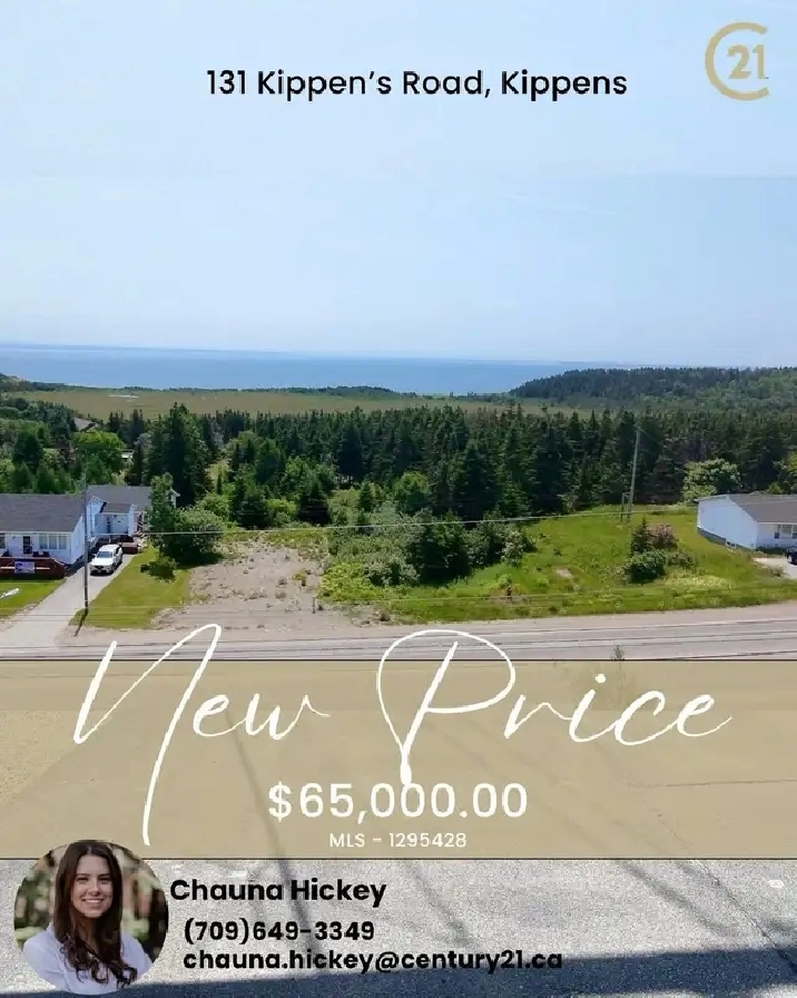 Stunning 4.75 Acre Property