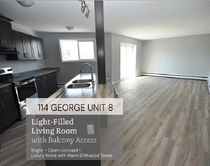 Renovated 2-bedroom - Avail Sept - 114 George