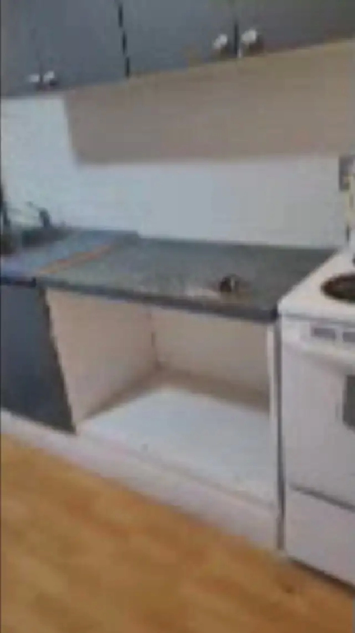 Hochelaga  2 1/2 for rent