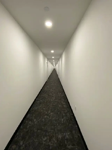 2 bedroom condo wolf willow