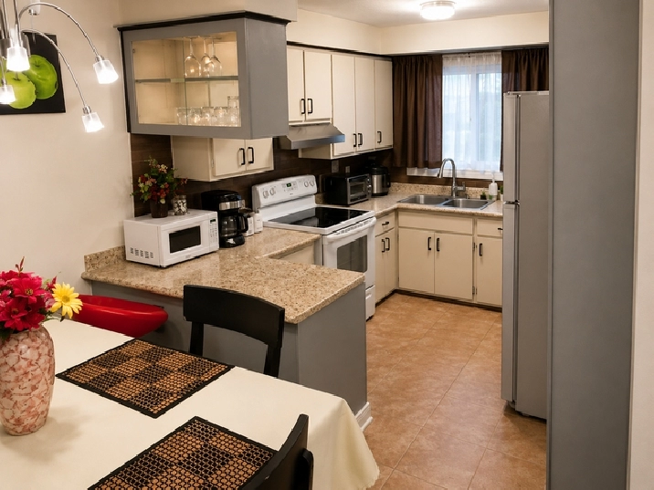 Logement à louer entièrement rénové à Anjou