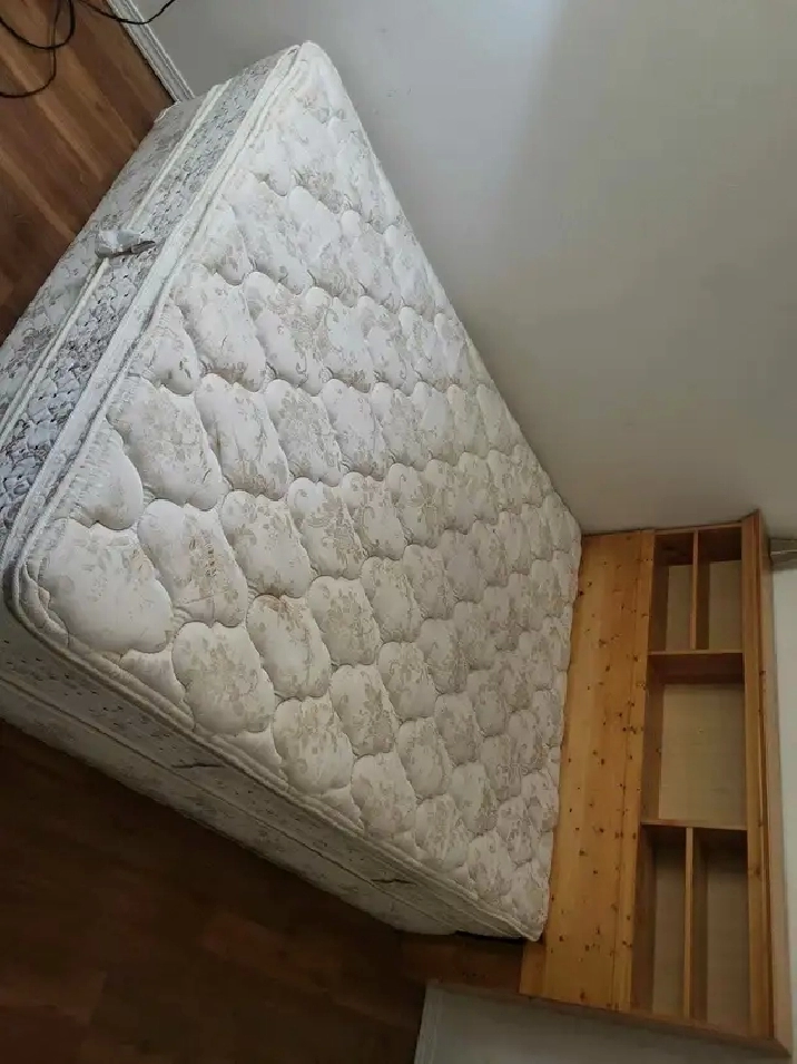 Room 4 rent for females in Ne