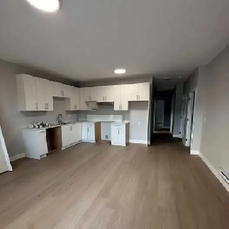 BRAND NEW Spacious 3 Bed, 1.5 Bath Suite in South Surrey