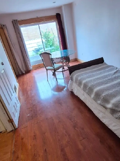 Davis/Yonge Large room for rent