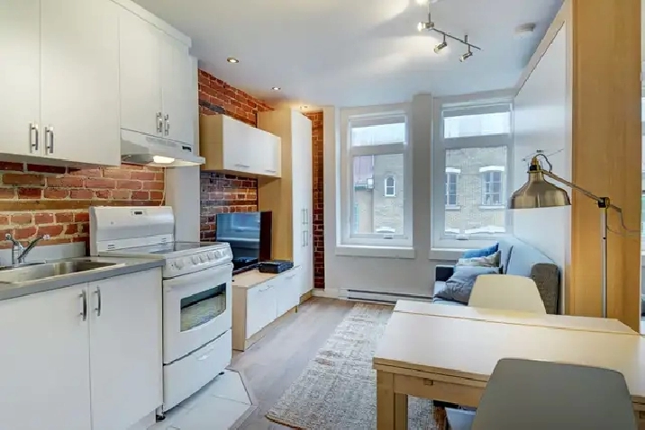 Loft entièrement meublé à louer Saint-Jean-Baptiste août 2026
