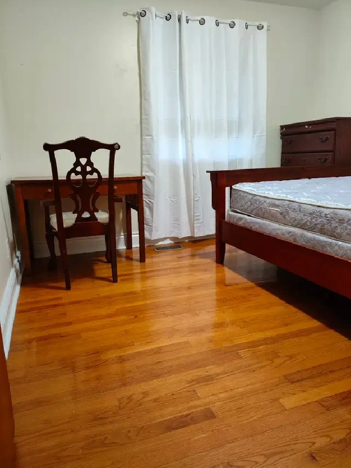 Female roommates, students welcome, near Algonquin C