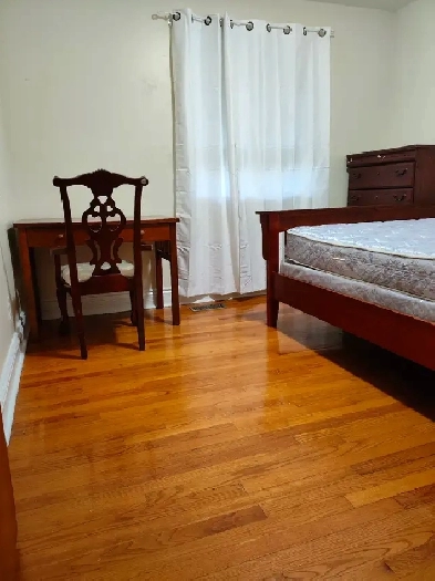 Female roommates, students welcome, near Algonquin C