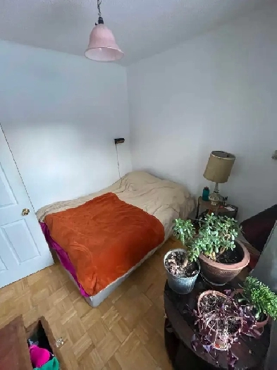 Logement meublé - court terme - 6 mois - Novembre-Juin