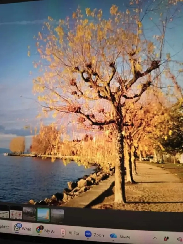 Lakefront Bsmt Bachelor Apartment for Rent in Etobicoke, Toronto