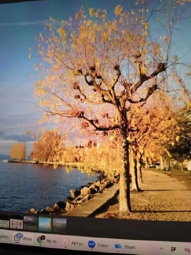 Lakefront Bsmt Bachelor Apartment for Rent in Etobicoke, Tor...