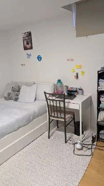 Private room in  apartment basement