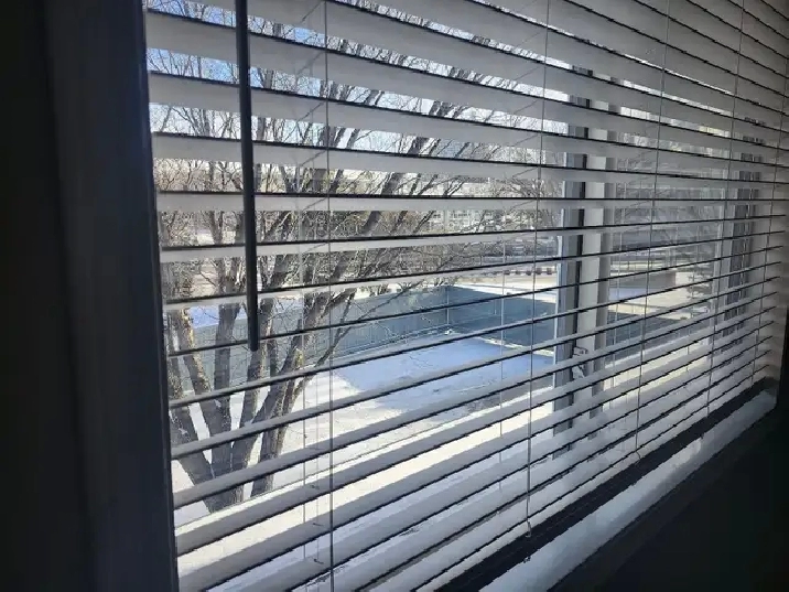 Large Bright Room near MacEwan, NAIT, Kingsway (townhouse)