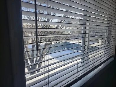 Large Bright Room near MacEwan, NAIT, Kingsway (townhouse)
