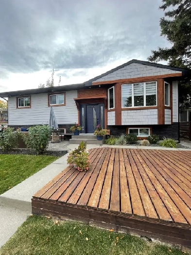 LOWER LEVEL 1 BEDROOM IN SOUTHWOOD AVAILABLE TODAY!