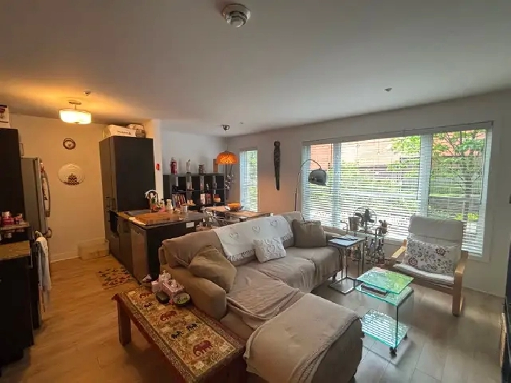 SUPERBE 4,5 CONDO A ST-HENRI - 2-BEDROOM CONDO NEXT TO ATWATER