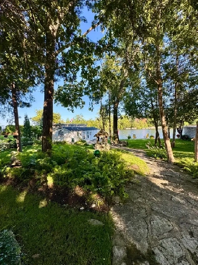 house for rent bobcaygeon on the lake