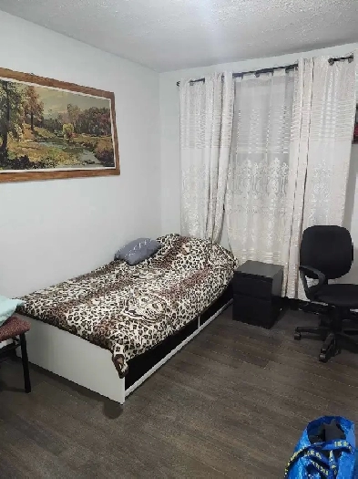 room for rent