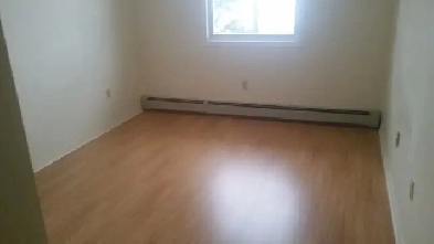 Large Room Available in Spacious Unit - September 1, 2026