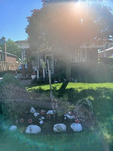 BACHELOR APARTMENT FOR RENT 647-716-3171