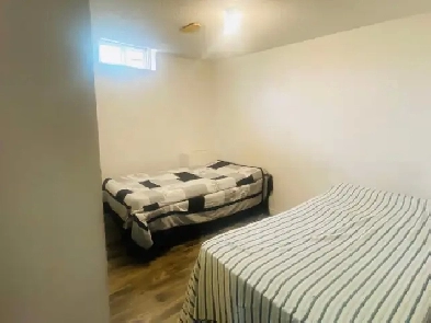 Basement and rooms for rent August Brampton