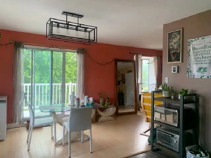 Appartement à louer pour novembre (Cession de bail)